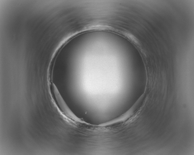X0000054411430200508192019