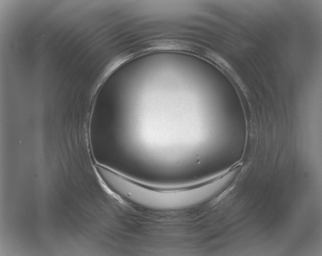 X0000054411433200508192019