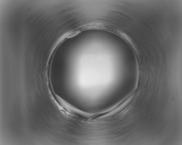 X0000054411434200508192019