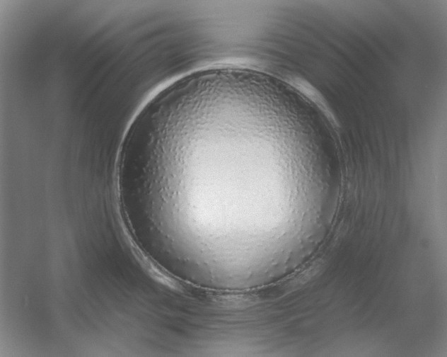 X0000054411436200508192019