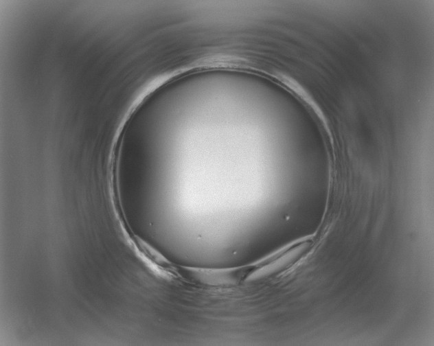 X0000054411437200508192019