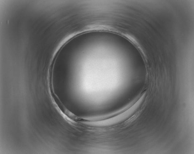 X0000054411438200508192019