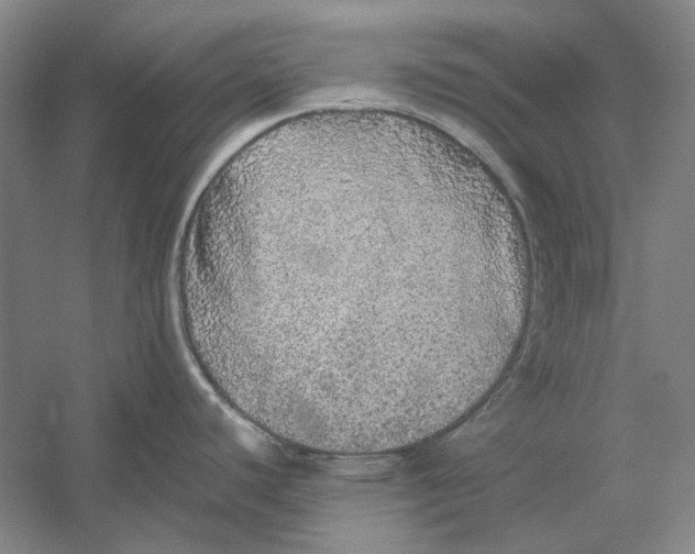 X0000054411440200508192019