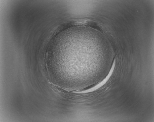 X0000054411441200508192019