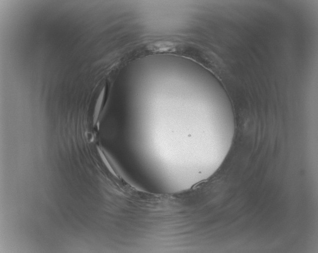X0000054411442200508192019