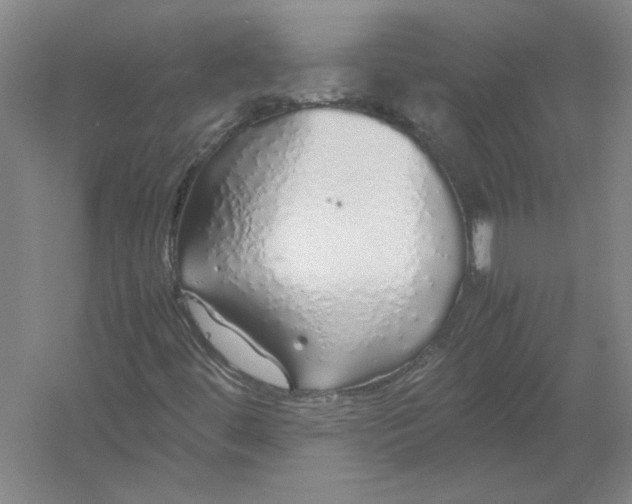 X0000054411444200508192019