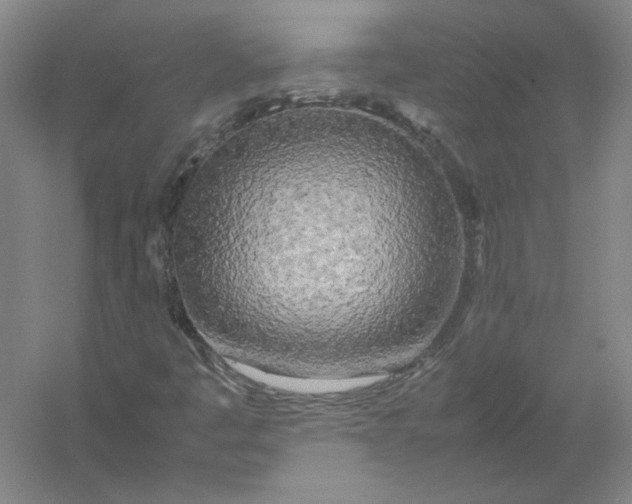 X0000054411445200508192019