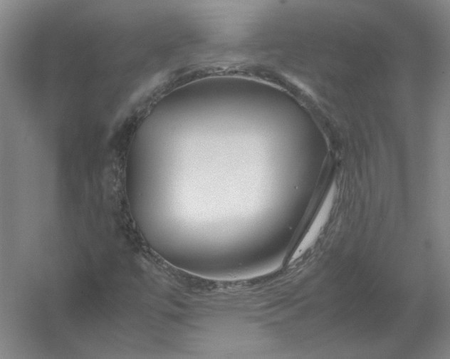 X0000054411447200508192019