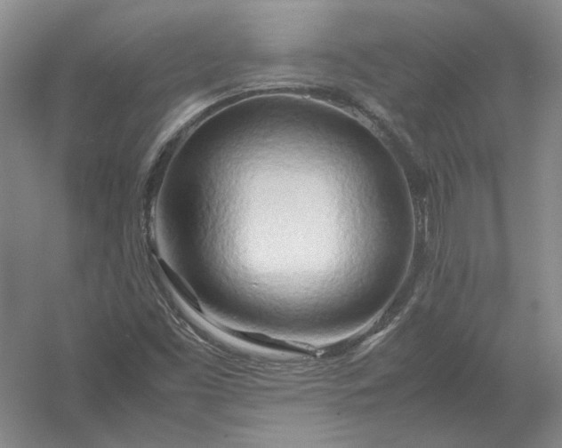 X0000054411453200508192018
