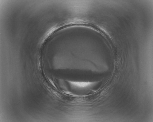 X0000054411455200508192018