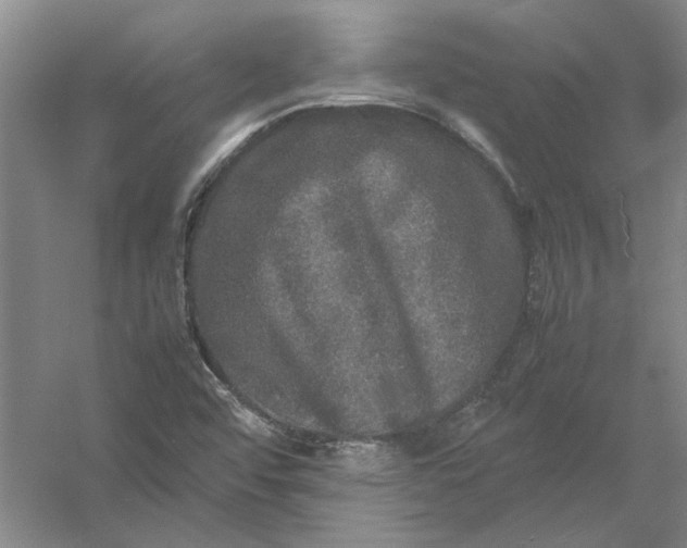 X0000054411456200508192018