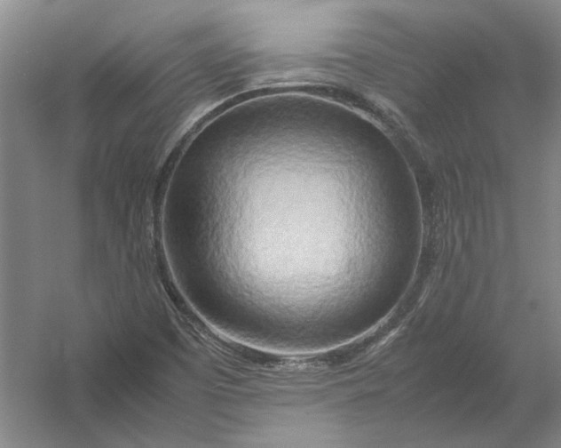 X0000054411457200508192018