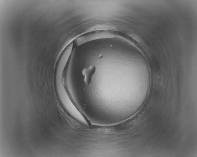 X0000054411465200508192018