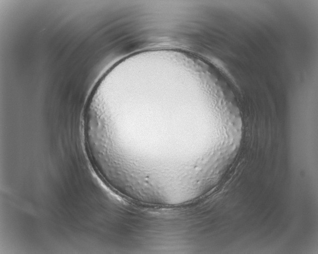 X0000054411476200508192018
