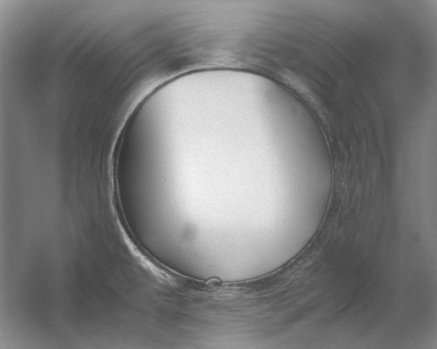 X0000054411479200508192018