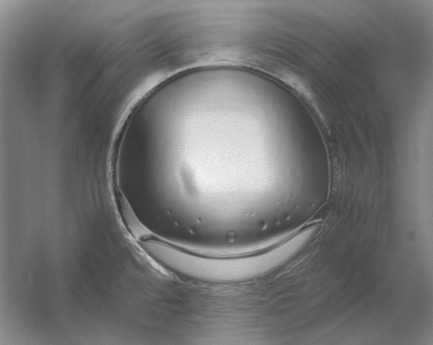 X0000054411480200508192018