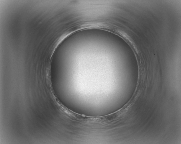 X0000054411481200508192018