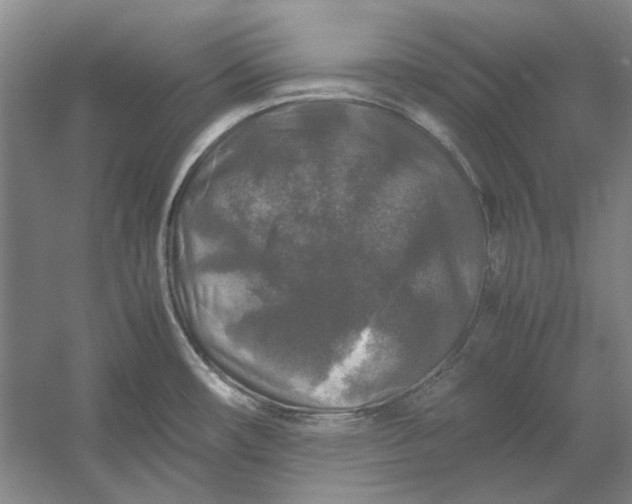 X0000054411482200508192018