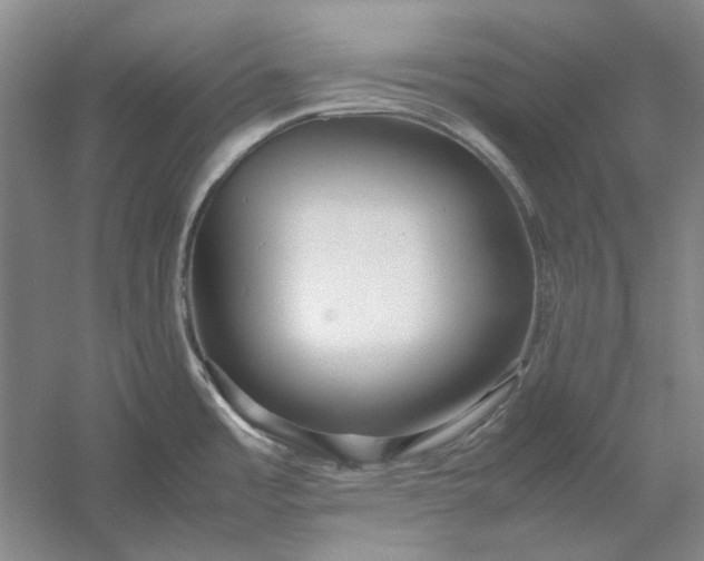 X0000054411485200508192018