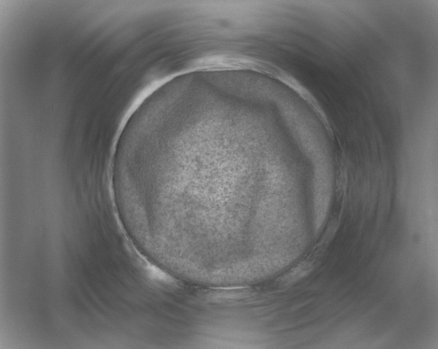 X0000054411486200508192018