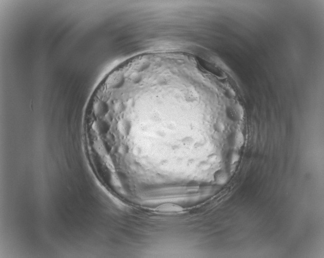 X0000054411487200508192018