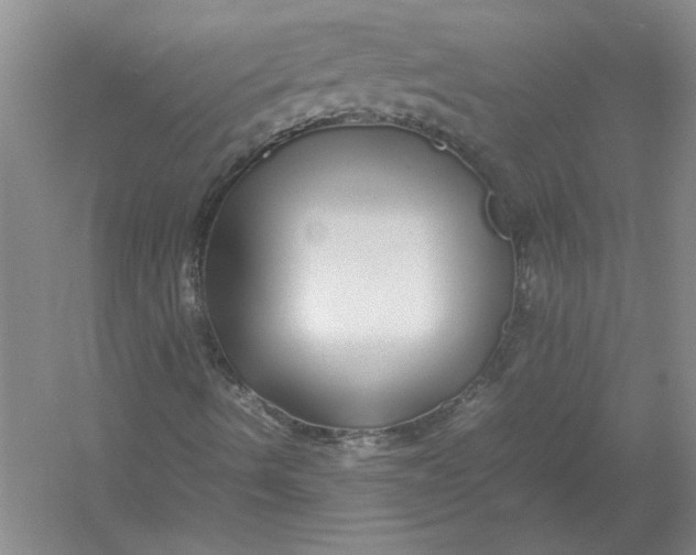 X0000054411490200508192017