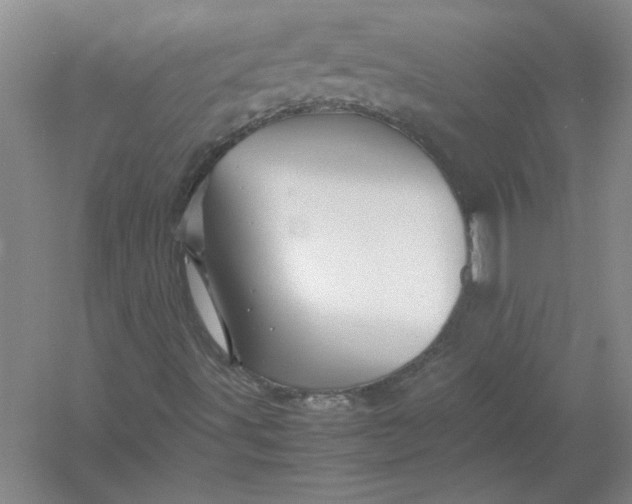X0000054411491200508192017