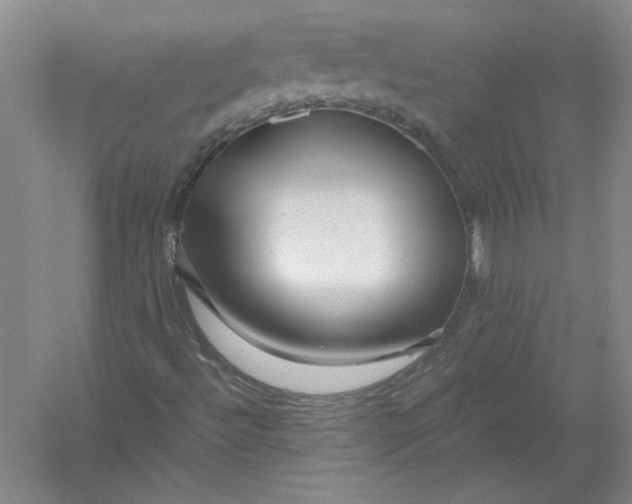 X0000054411492200508192017