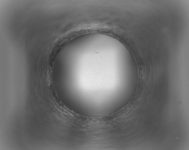 X0000054411493200508192017