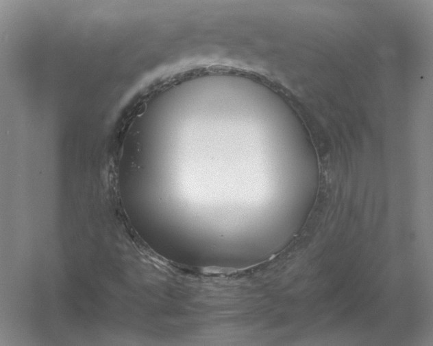 X0000054411495200508192017