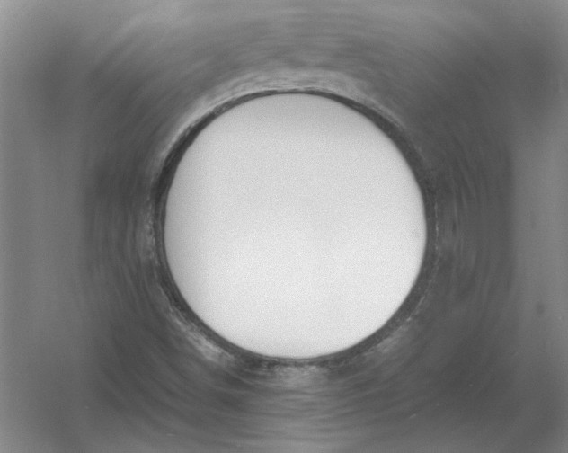 X0000054411498200508192017