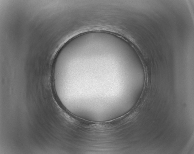 X0000054411500200508192017