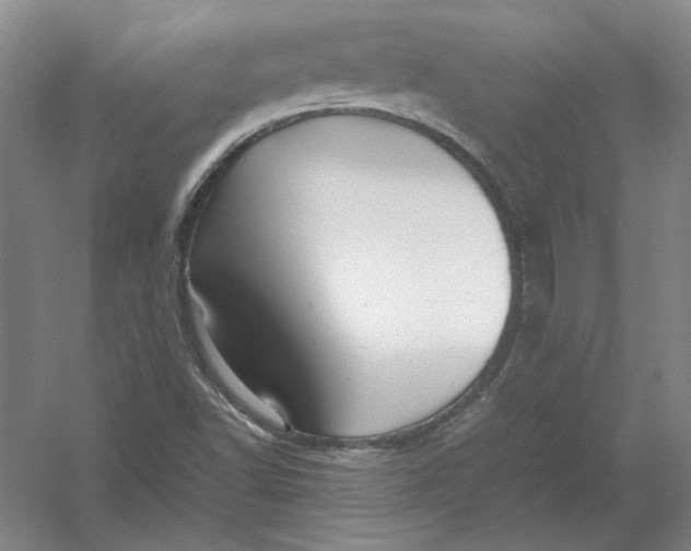 X0000054411502200508192017