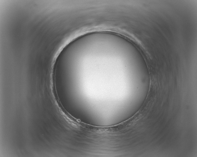 X0000054411512200508192017