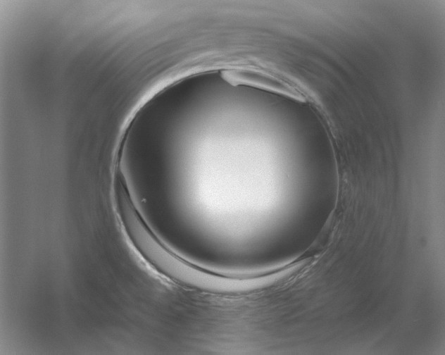 X0000054411528200508192018