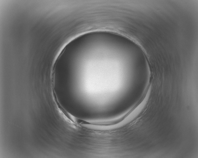 X0000054411532200508192018