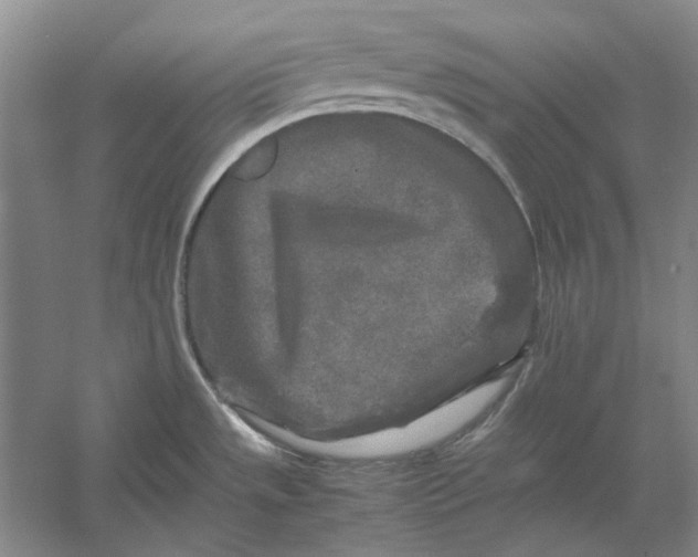 X0000054411533200508192018
