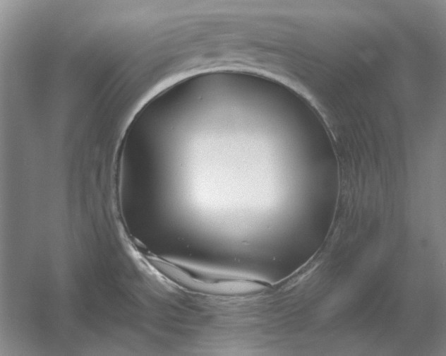 X0000054411534200508192018