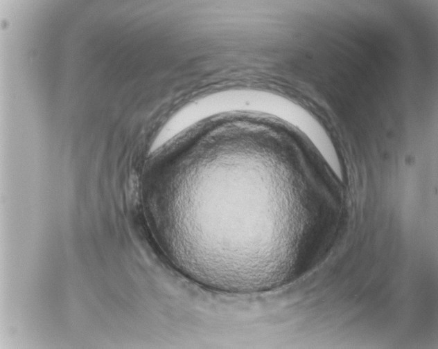 X0000054410029200508262308