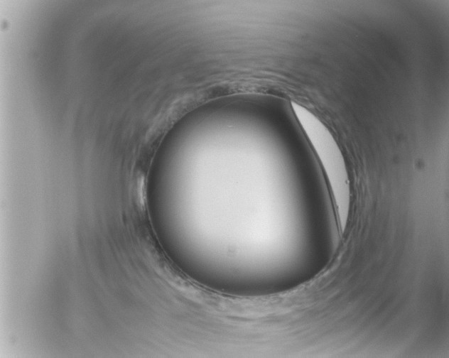X0000054410041200508262308