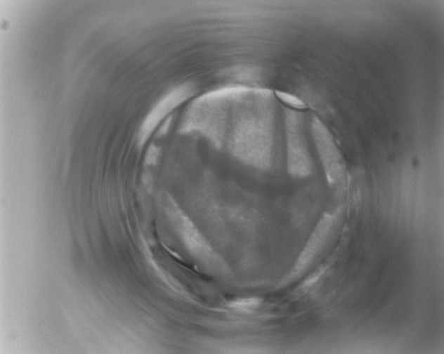 X0000054410051200508262307