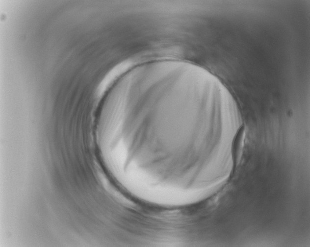 X0000054410054200508262307
