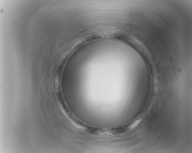X0000054410113200508262306