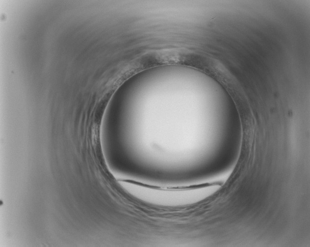 X0000054410125200508262306
