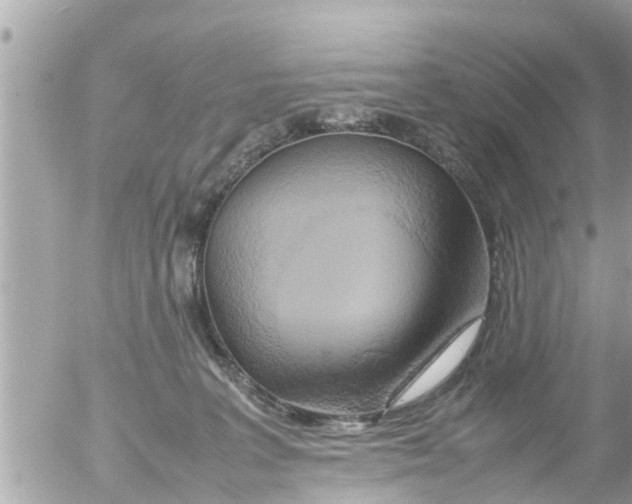 X0000054410227200508262305
