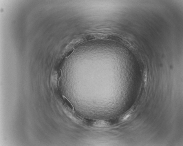 X0000054410231200508262304