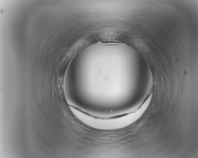 X0000054410237200508262304