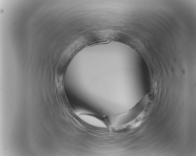 X0000054410239200508262304