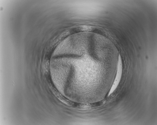 X0000054410325200508262303