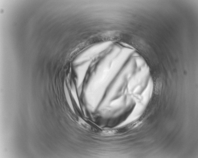 X0000054410335200508262303